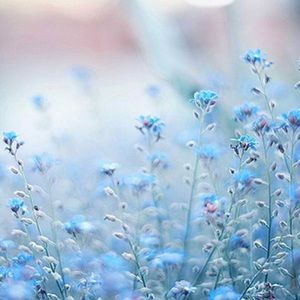 Meet your Posher, Ella